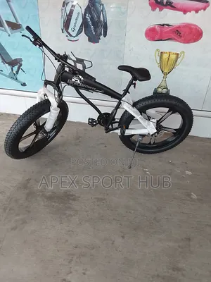 American Fitness Fat Tyre Bike