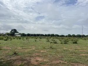 Apo Waru Estate Plots