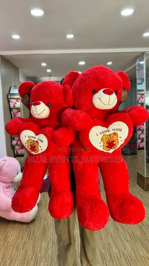 Medium Size Teddy Bear