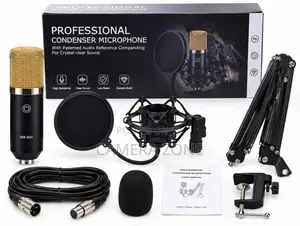 Professional Condenser Microphone.