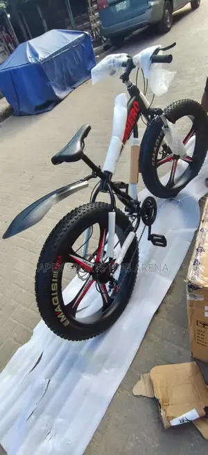 Fat Tyre Bike
