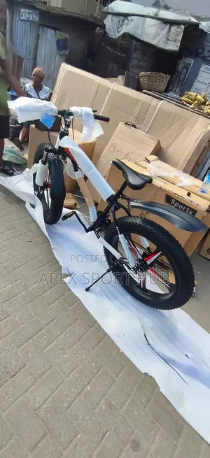 Fat Tyre Bike