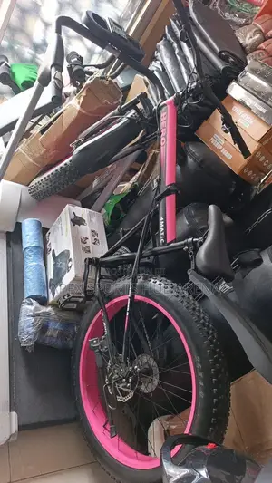 Fat Tyre Bike