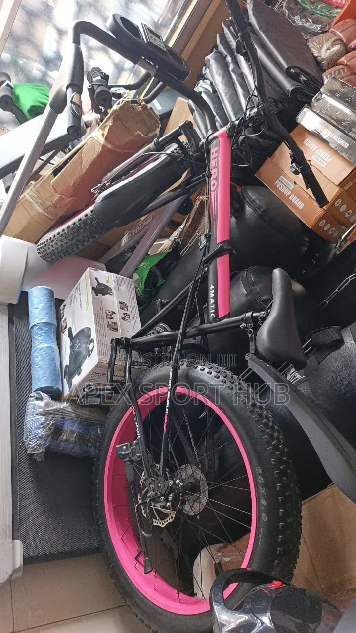 Fat Tyre Bike