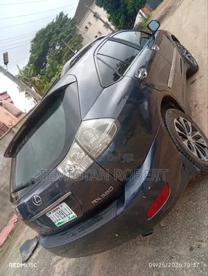 Lexus RX 350 2007 Gray
