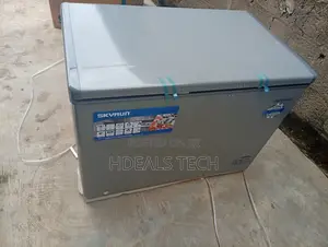 Spacious Skyrun 300L Deep Freezer Quick Freeze Tech