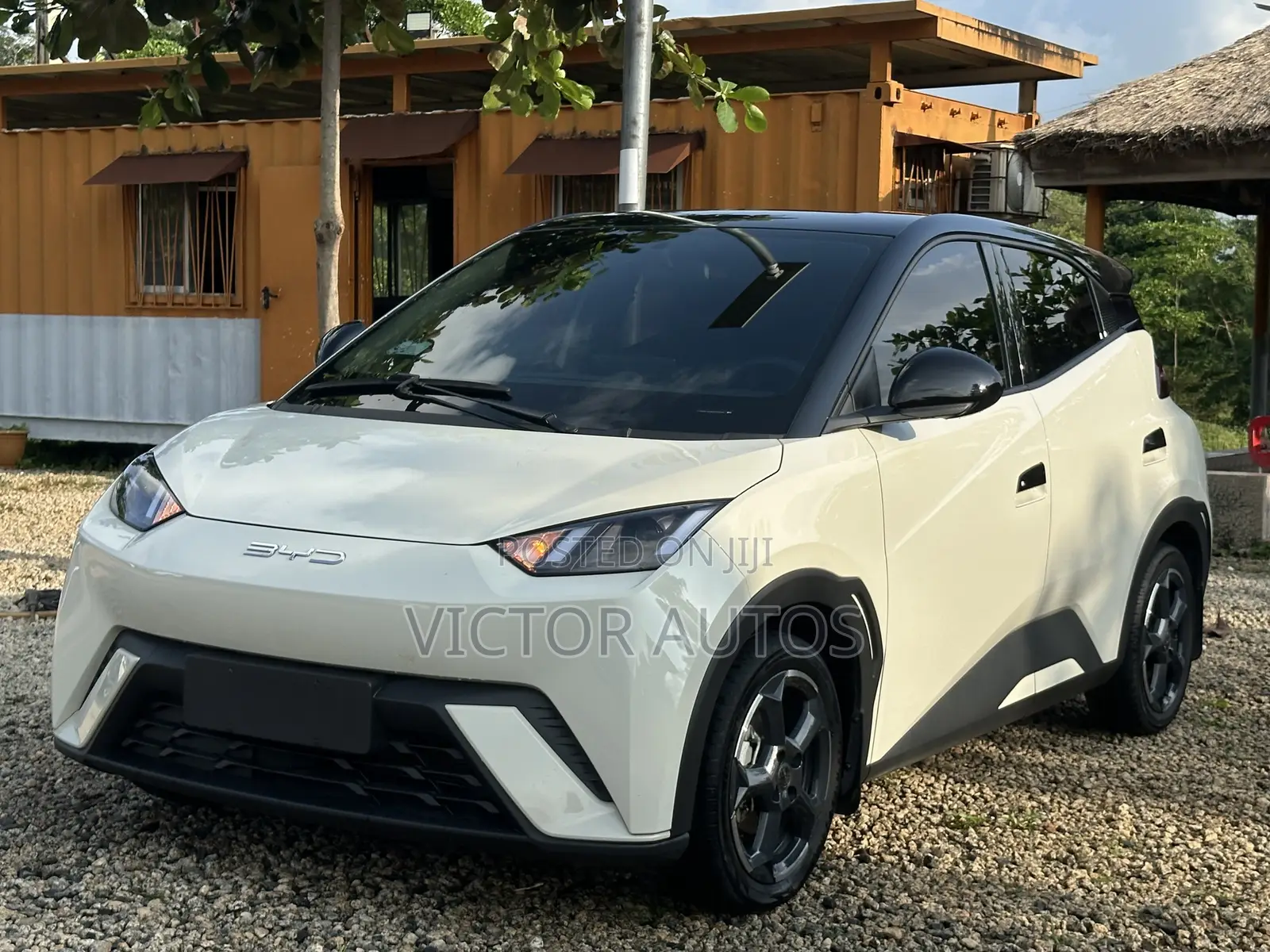 BYD Seagull 2023 White