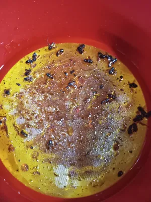 Original Raw Bush Honey | Pure Honey | Raw Honey