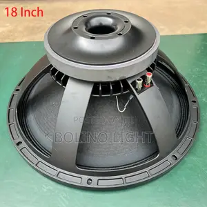 18'' Naked Speaker for Subwoofer