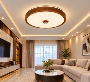 Unique Nordic LED Ceiling LIght