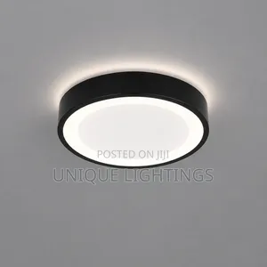 Unique Nordic LED Ceiling LIght
