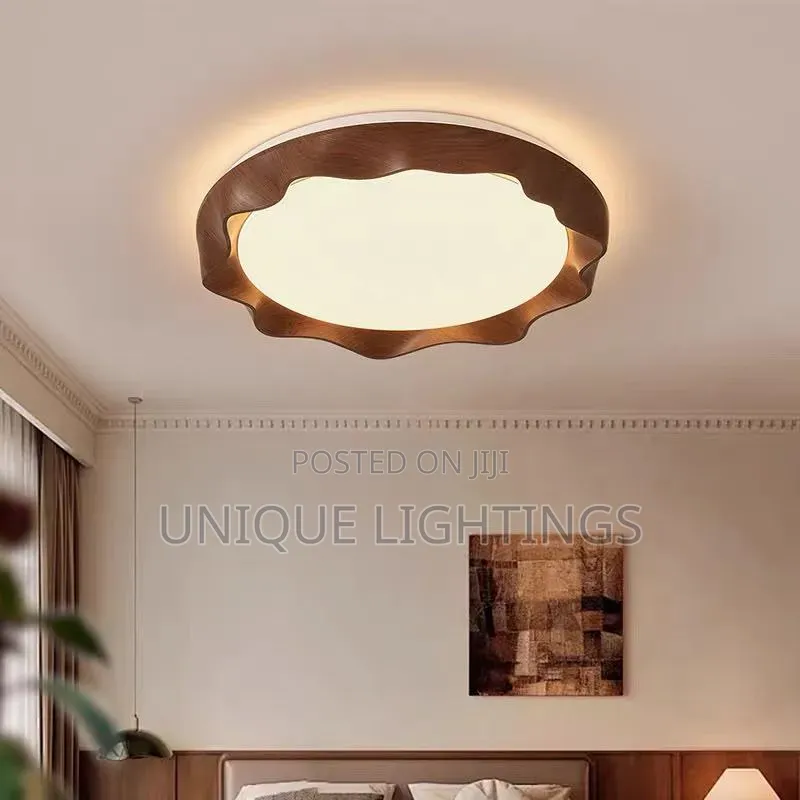 Unique Nordic LED Ceiling LIght