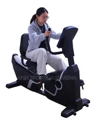 Recumbent Bike