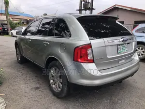 Ford Edge 2008 Silver