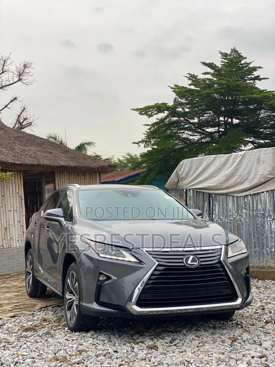 Lexus RX 2019 Gray