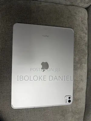 Apple iPad Pro 13 (2024) 256 GB Gray