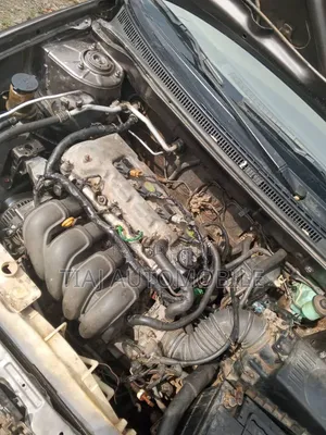 Toyota Corolla 2004 Burgundy