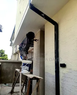 Professional Painter, Screeder and POP Installer in Owerri, Nationwide