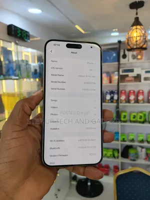 Apple iPhone 15 Pro Max 256 GB Silver