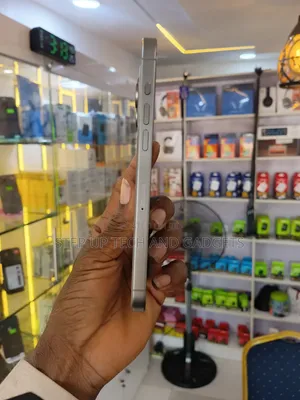 Apple iPhone 15 Pro Max 256 GB Silver