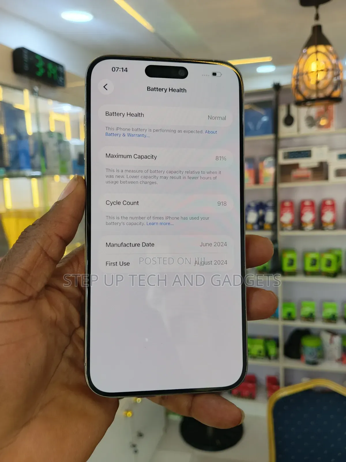 Apple iPhone 15 Pro Max 256 GB Silver
