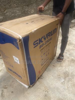 Skyrun Inverter Chest Freezer – 250L Space to Stock Up