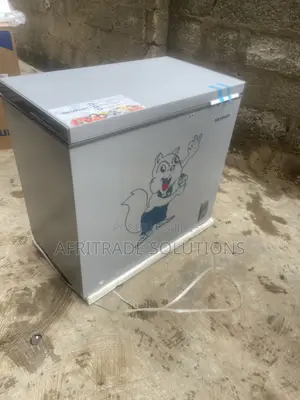 Skyrun 250L Chest Freezer – Inverter Power, More Space