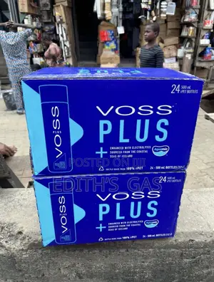 Voss Plus Artesian Water