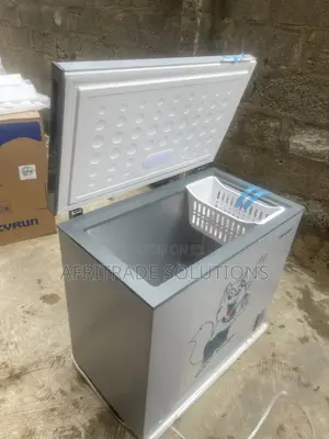 Skyrun BD-250AI 250L Inverter Deep Freezer – Cold Storage