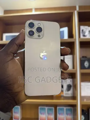 Apple iPhone 13 Pro Max 256 GB Gold