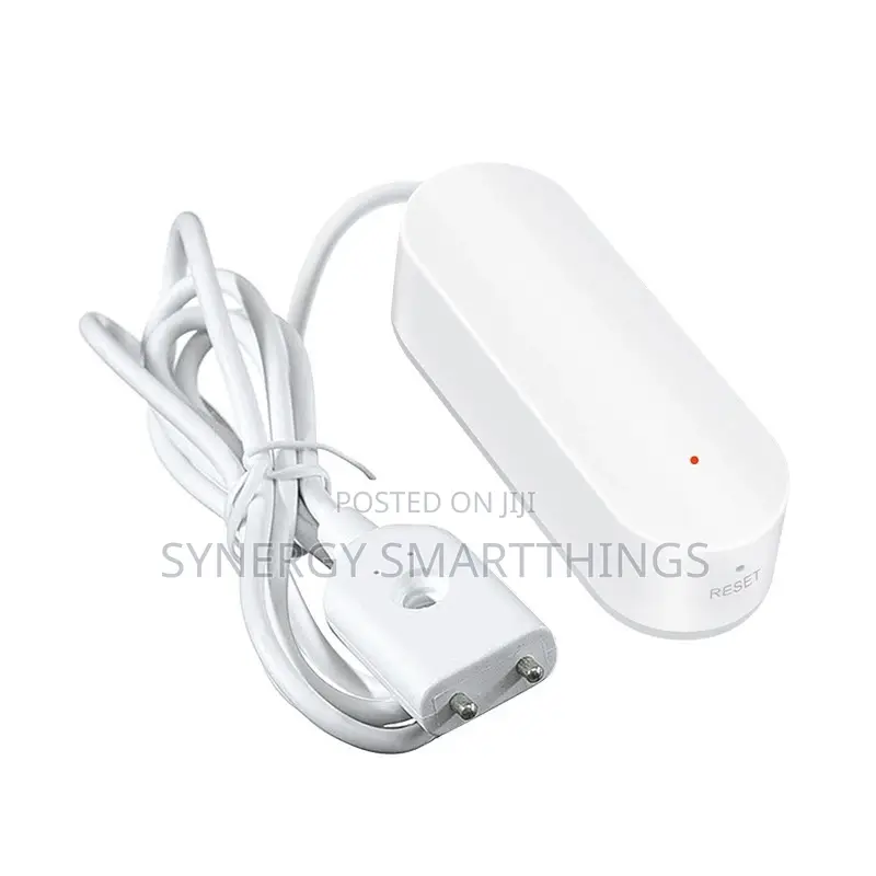 Tuya RGBIC Controller