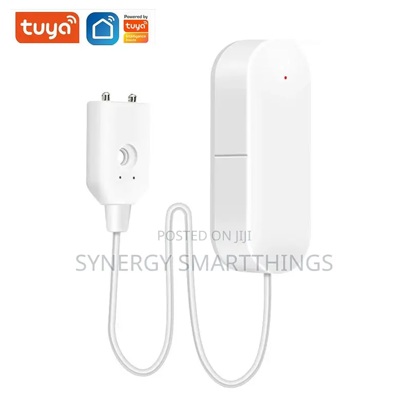 Tuya RGBIC Controller