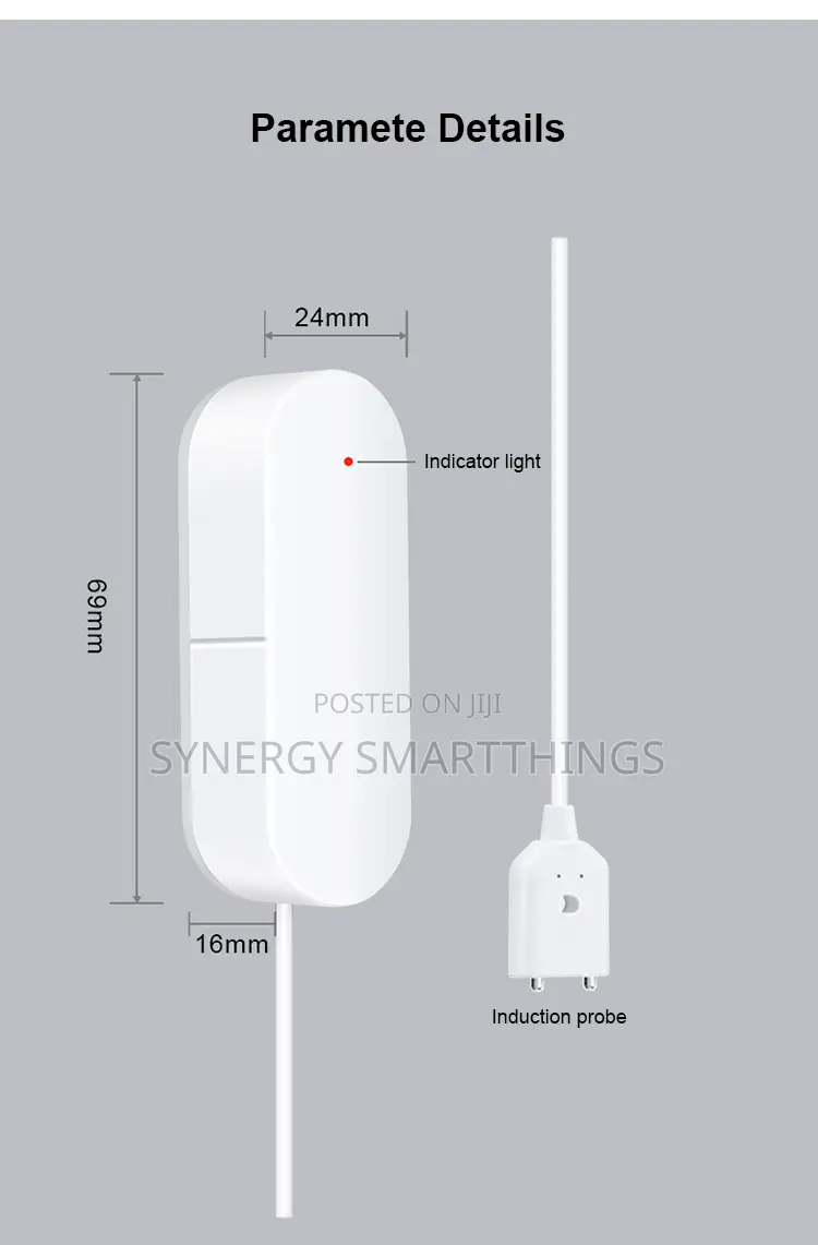 Tuya RGBIC Controller