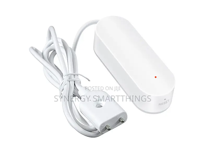 Tuya RGBIC Controller