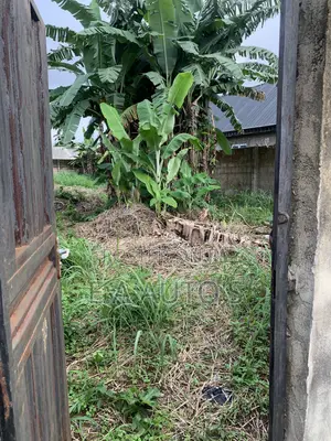 Half Plot of Land