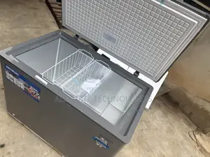 SKYRUN BD-300HNW Household Refrigerator