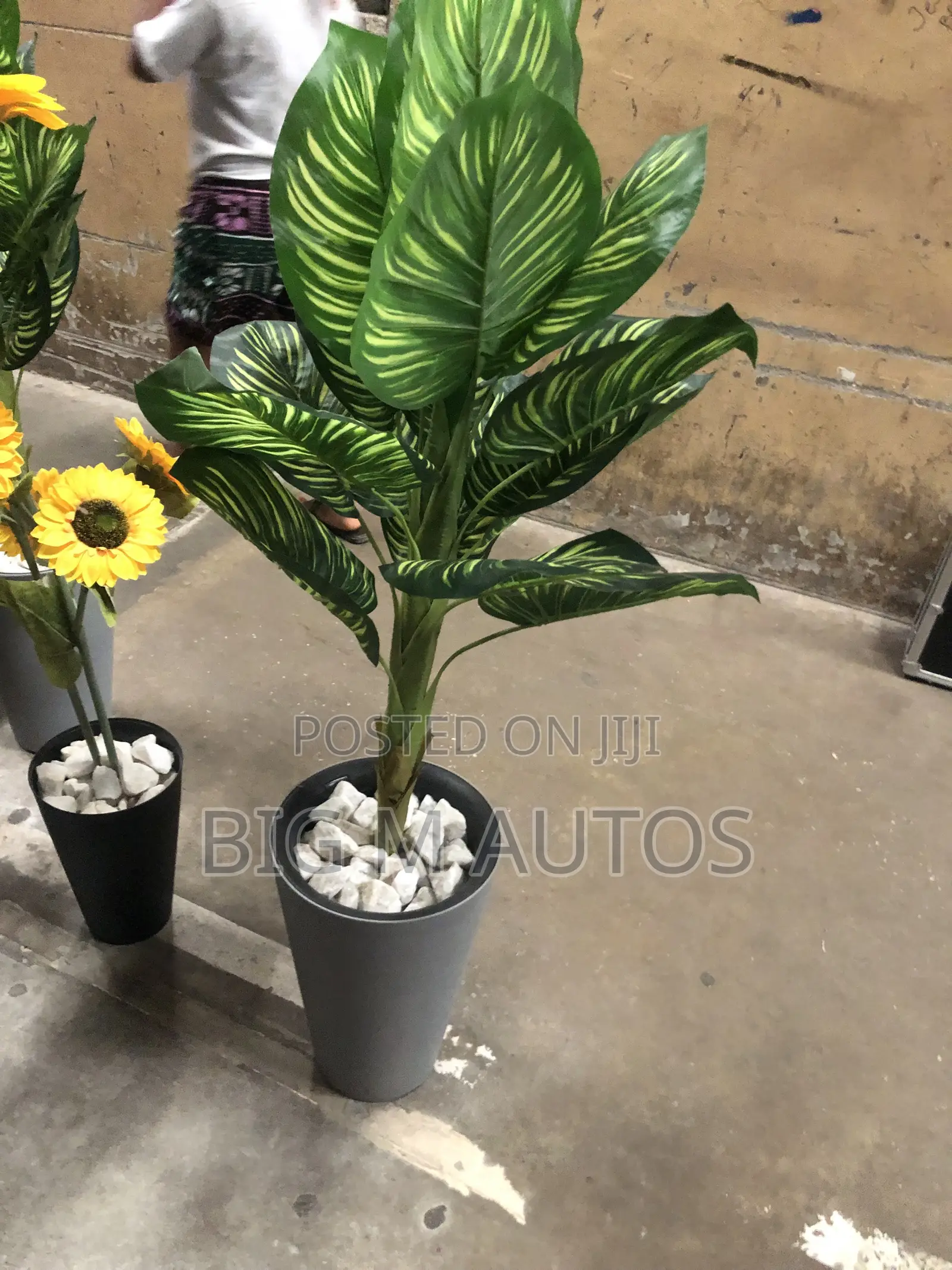 Flower Vase