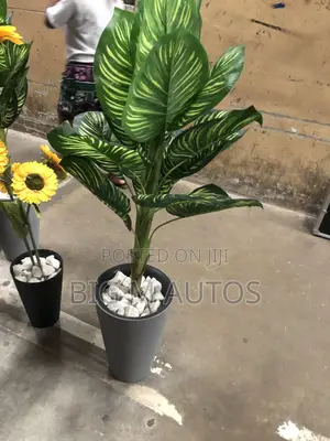 Flower Vase
