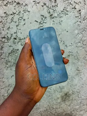 Apple iPhone 12 Pro 256 GB Gray