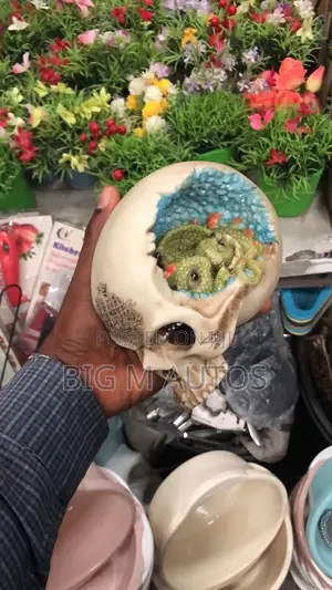 Skull Deco