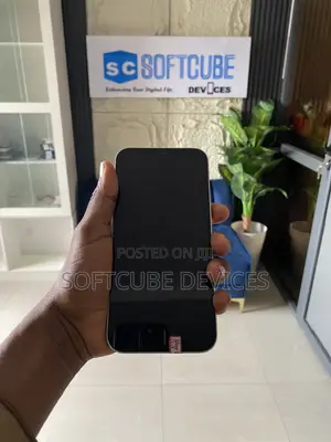 Apple iPhone 12 Pro Max 256 GB White