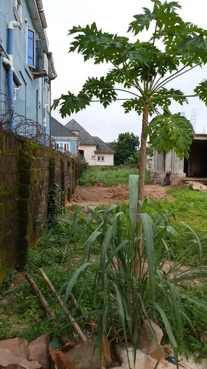 Standard 2 Bedroom at Obinze