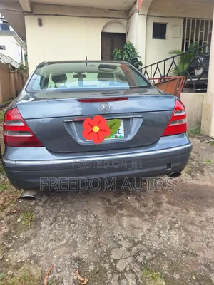 Mercedes-Benz E350 2005 Gray