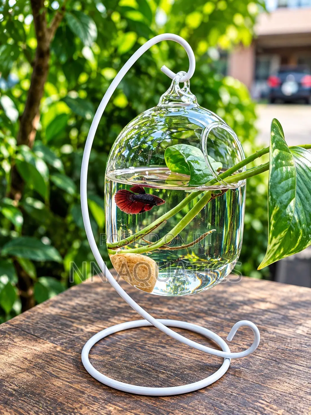 Hanging Glass Aquarium