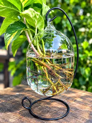 Hanging Glass Aquarium