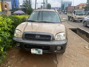 Hyundai Santa Fe 2004 Gold