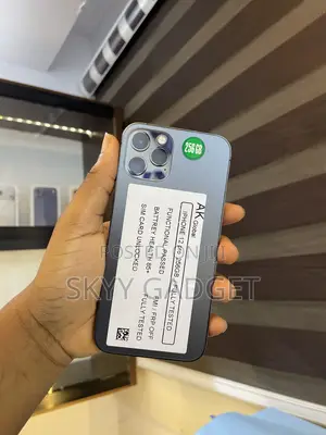 Apple iPhone 12 Pro 256 GB Black