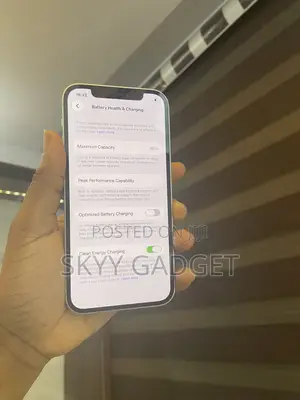 Apple iPhone 12 64 GB Green