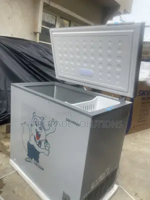 Skyrun 250L Inverter Freezer – Cold Storage Made Simple
