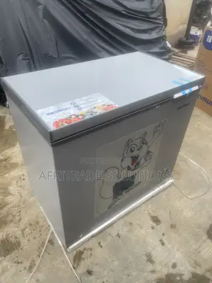 Skyrun BD-250AI 250L Inverter Freezer – More Space, Less Worry